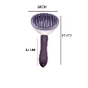 41yTyaL2NeL._SX679_.webp